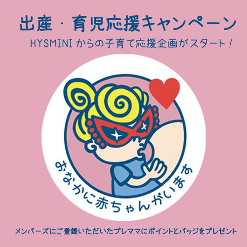 HYS MINI̎qĉ
